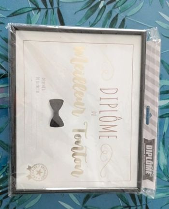 Diplôme meilleur tonton