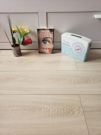 Livre 📖 l'écho du doute 3€