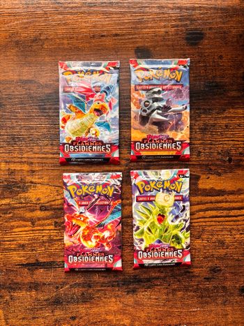 Artset Pokémon Flammes Obsidiennes 