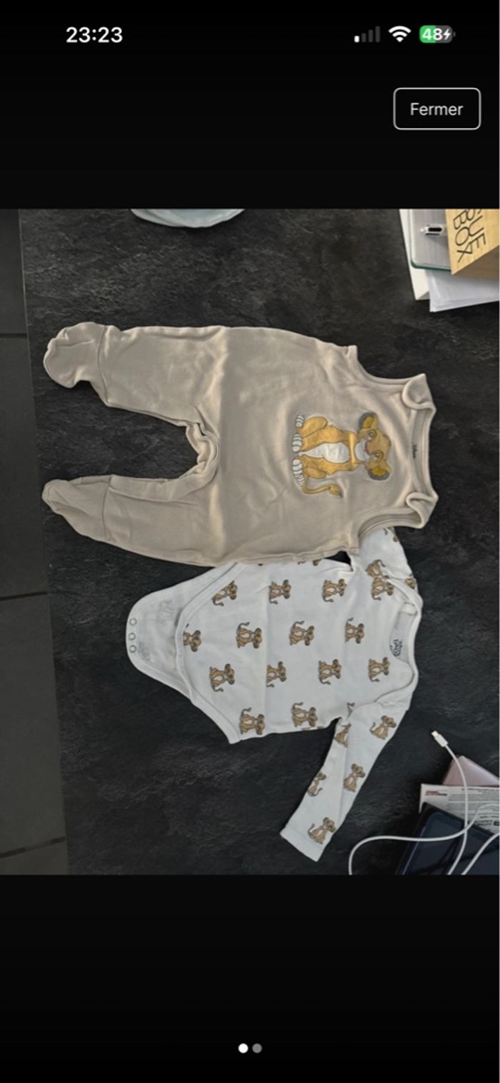 Ensemble le roi et lion