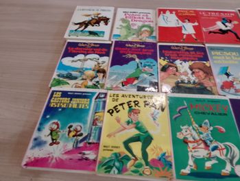 Lot de 15 livres, bibliothèque rose, Disney ect.(13)