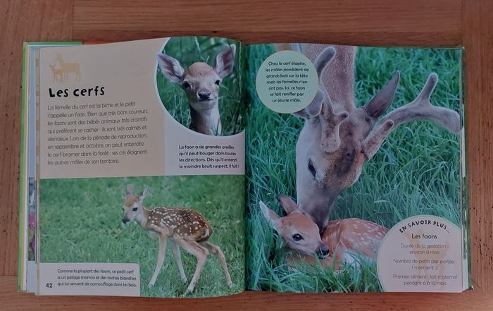 Mon grand livre des Bébés Animaux - Picolia - photo numéro 6