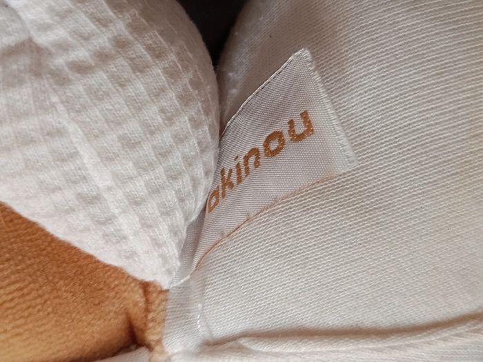 Ourson Takinou - photo numéro 4