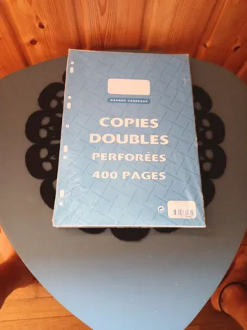 Copies doubles perforées grand carreaux