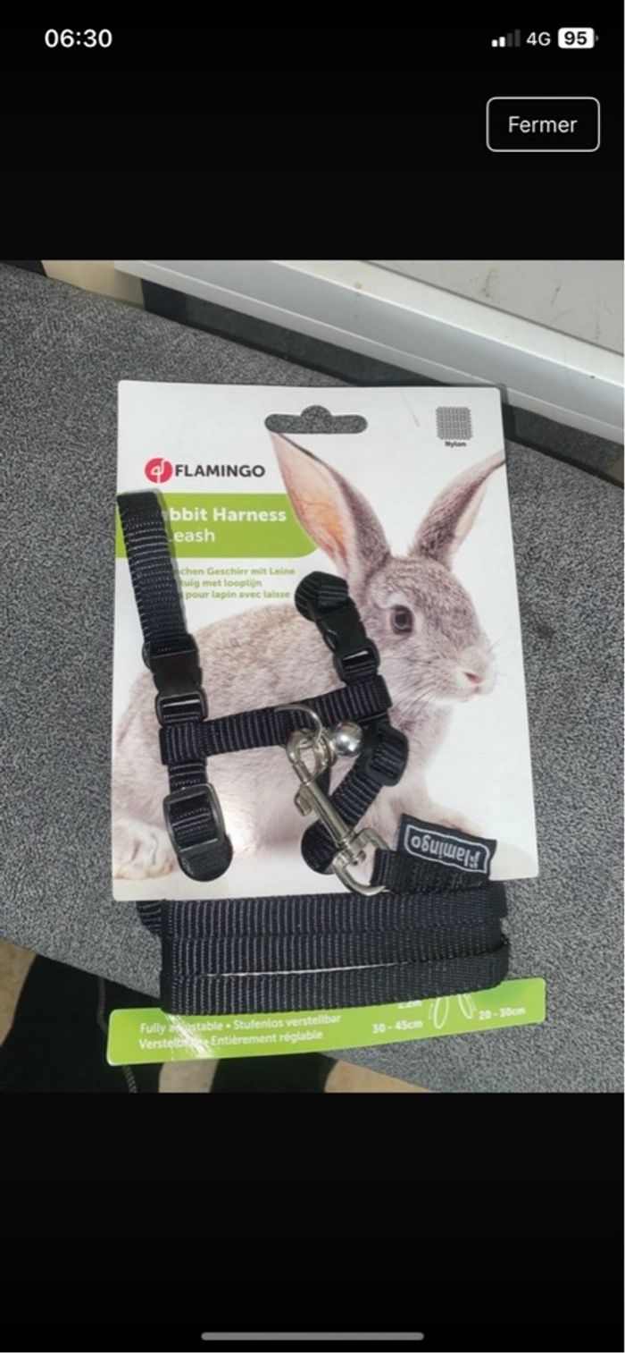 Laisse lapin