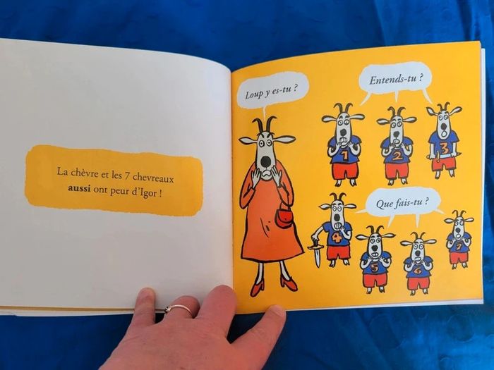 Album / Livre - photo numéro 4