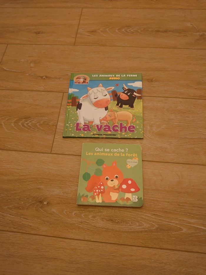 Lot 2 livres