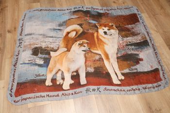 Foulard vintage Akita