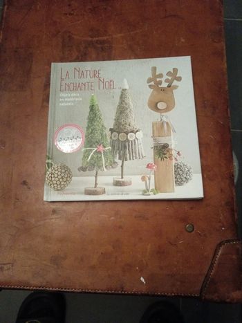 Livre la nature enchanté Noël