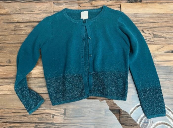Gilet bleu vert canard