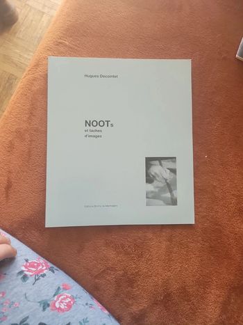 Noots et taches d'images. H. Decointet.