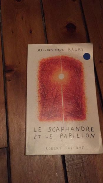 Le scaphandre et le papillon