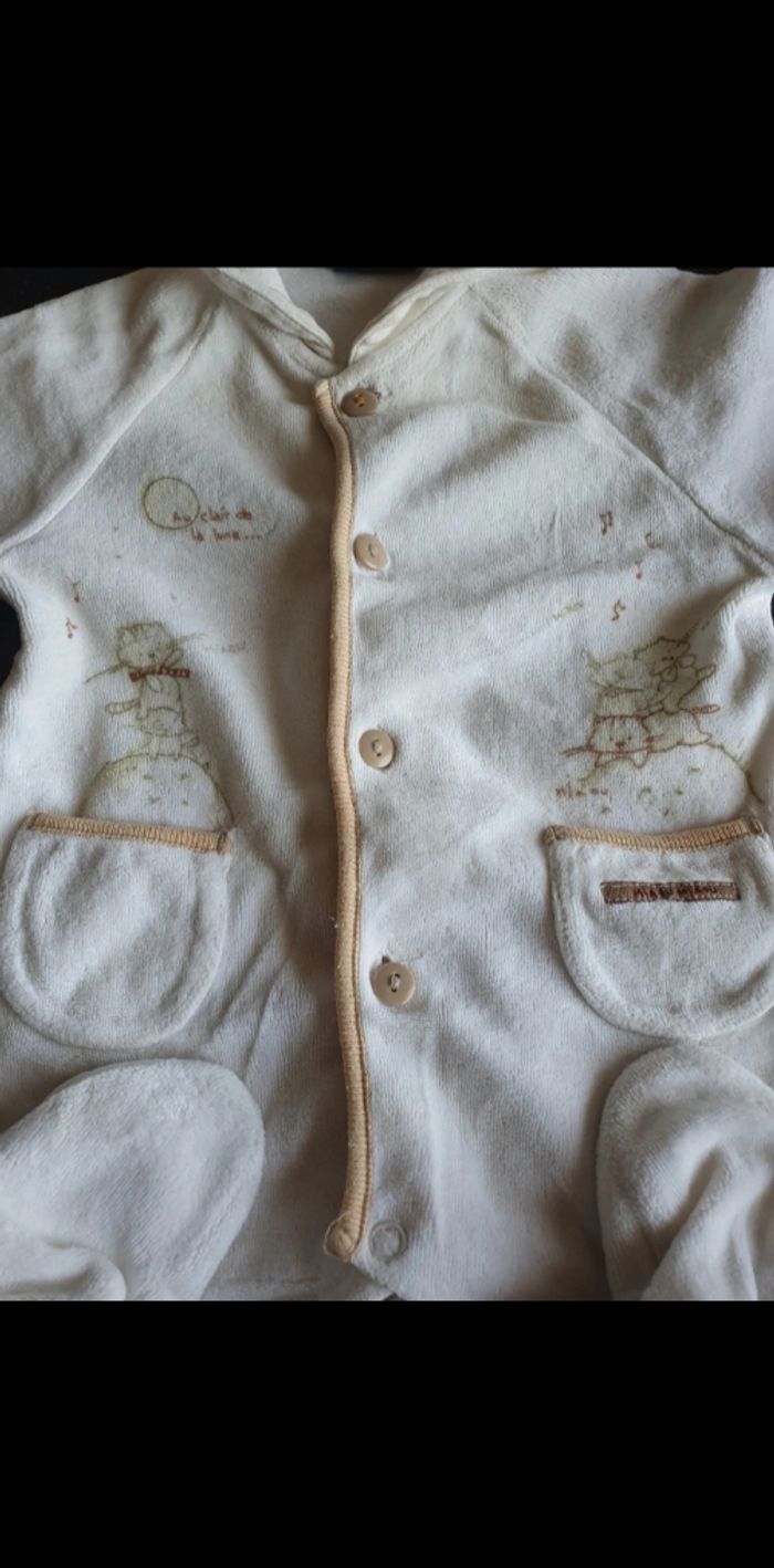 Grenouillère - photo numéro 2