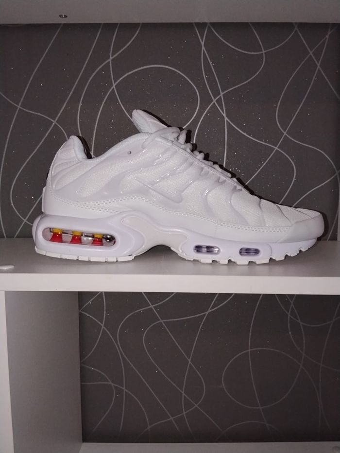 TN blanche - photo numéro 4