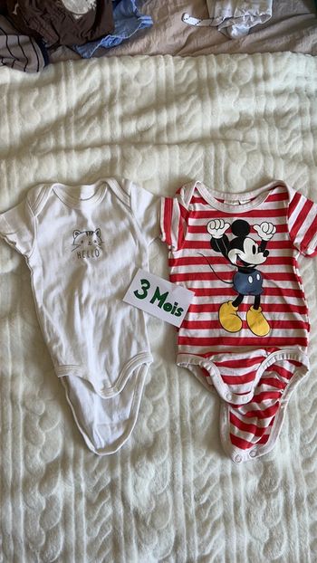 Lot body manches courtes