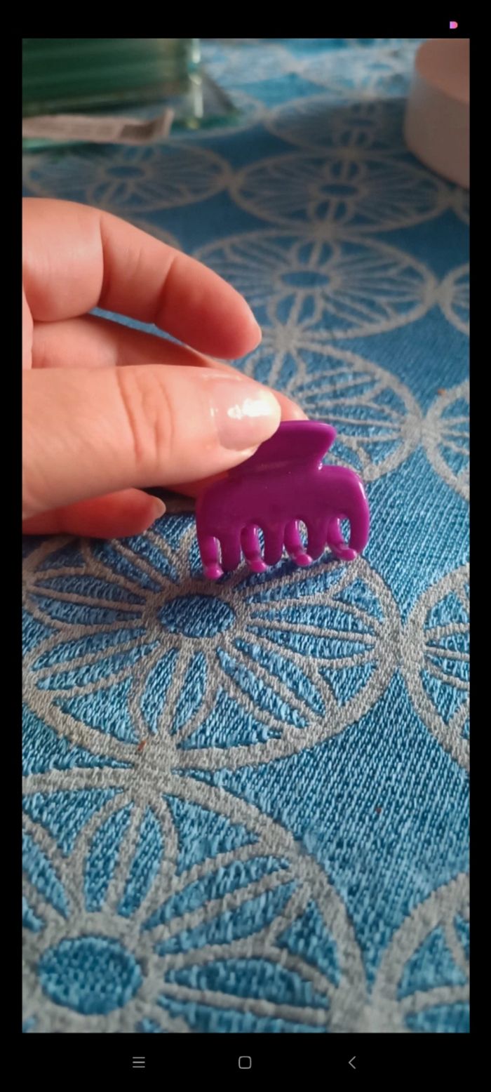 Petite Pince violet - photo numéro 2