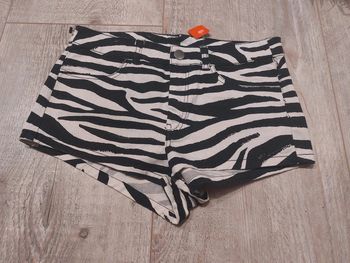 Short zèbre