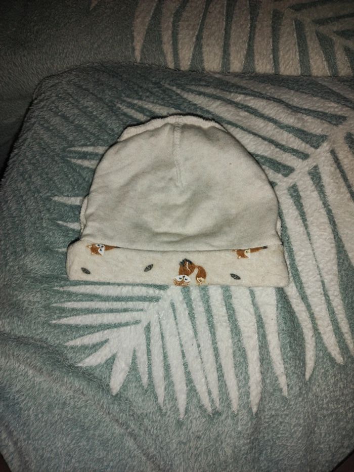 Bonnet - photo numéro 4