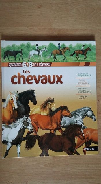 Questions réponses les chevaux
