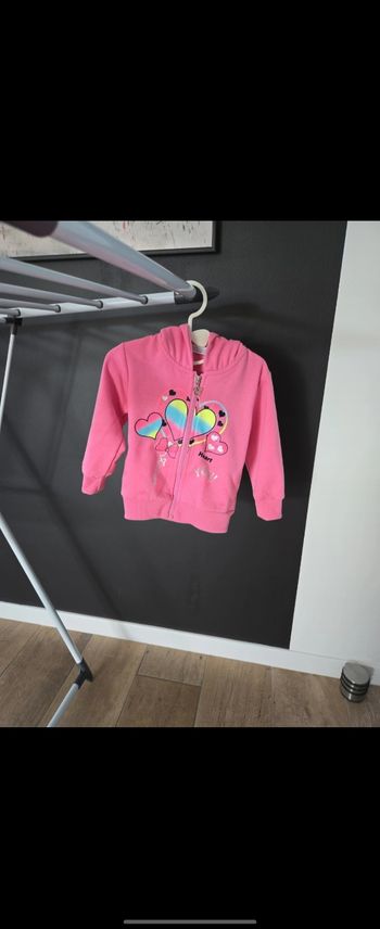 Veste a capuche 24 mois