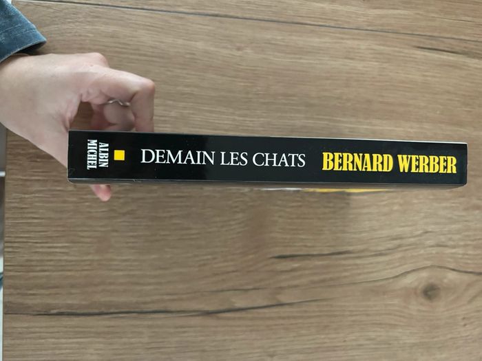 Demain les chats - photo numéro 3