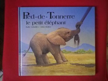 PIED-DE-TONNERRE, LE PETIT ELEPHANT