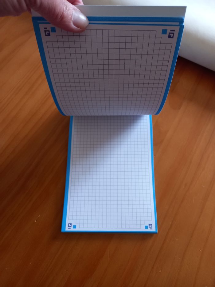 Bloc 30 fiches Bristol bords bleus 125x200mm Neuf - photo numéro 3