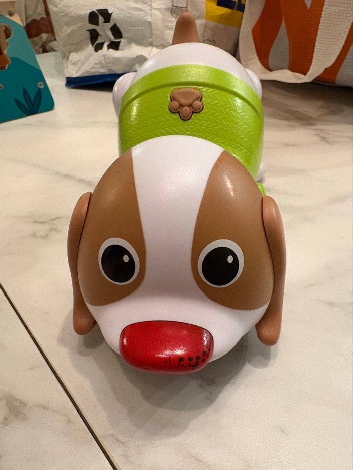 Petit chien qui marche et aboie 1er âge