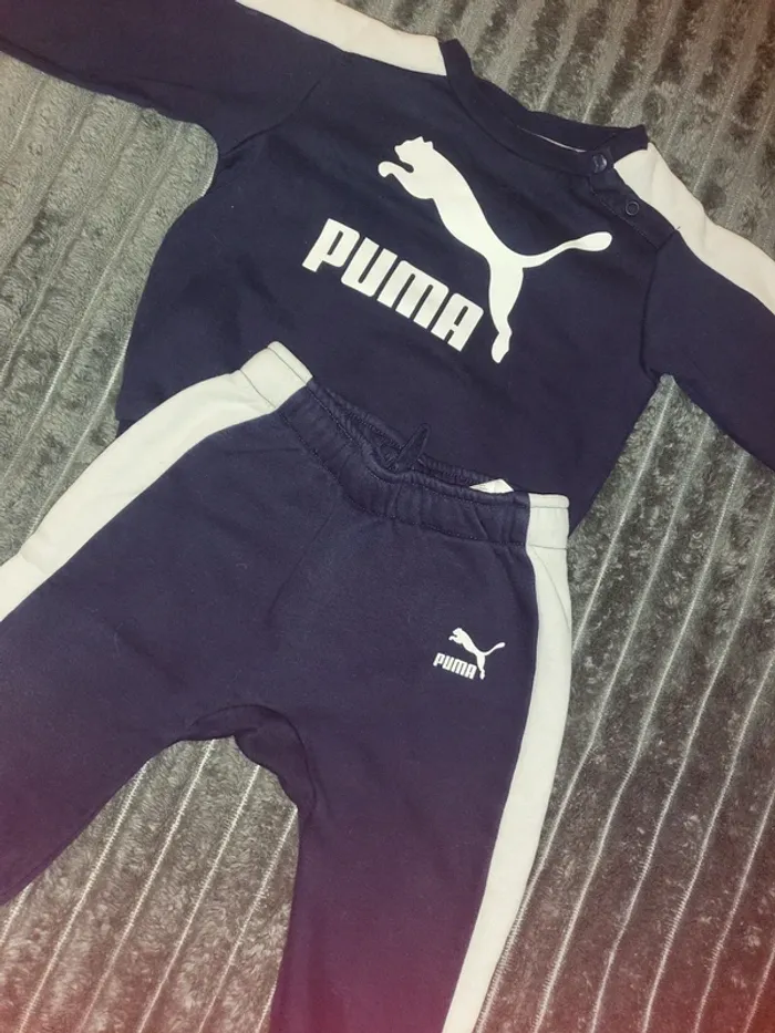 Ensemble puma - photo numéro 2