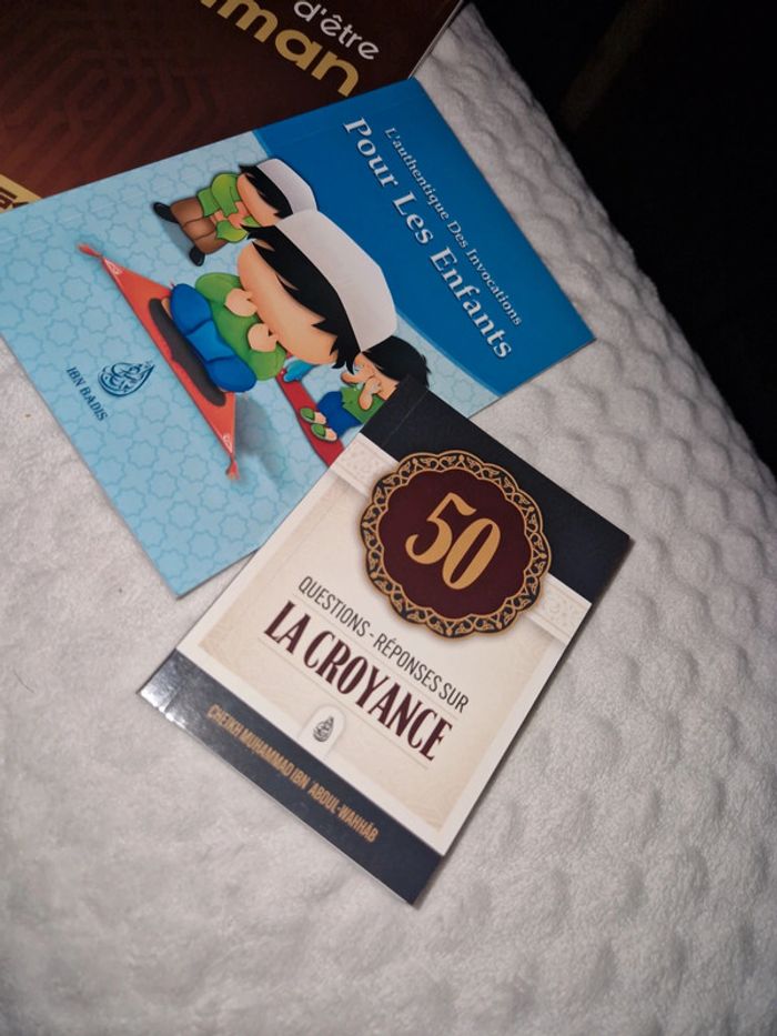 Lot de 3 livres neuf - photo numéro 2