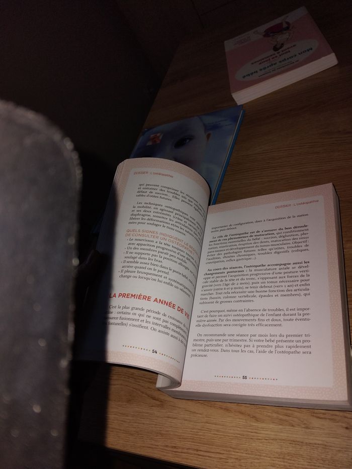Livre mon bébé mois par mois - photo numéro 3