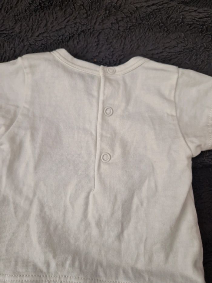 Grenouillère - photo numéro 5