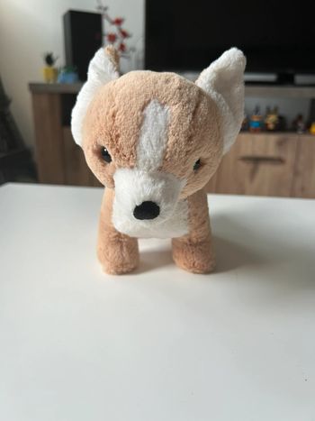 Chihuahua jellycat