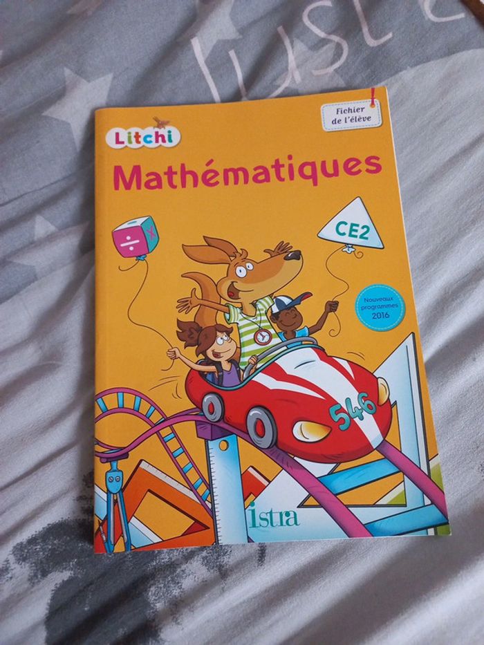 Fichier de mathématiques ce2 Litchi neuf