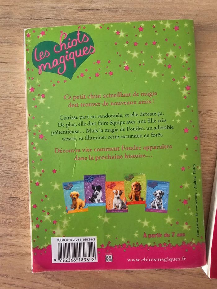 Livre chiots, chatons magiques / poney club enfant - photo numéro 6