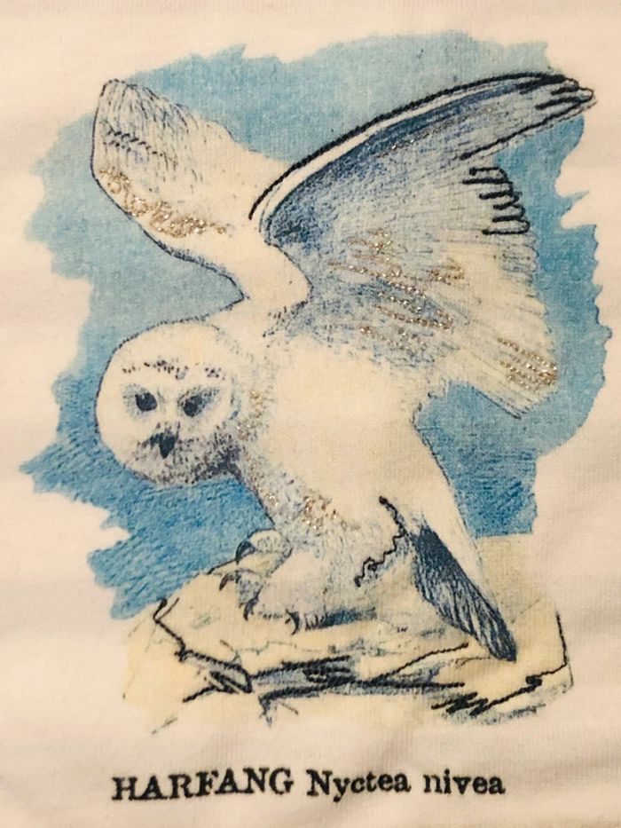 Marinière Deyrolle X Petit bateau T-12 ans - photo numéro 5