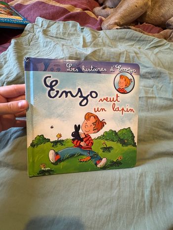 Enzo veut un lapin 