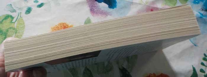 La médaille de Danielle Steel Ed. Presses de la Cité - photo numéro 5