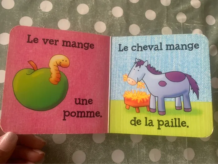 Livre poignée - photo numéro 3