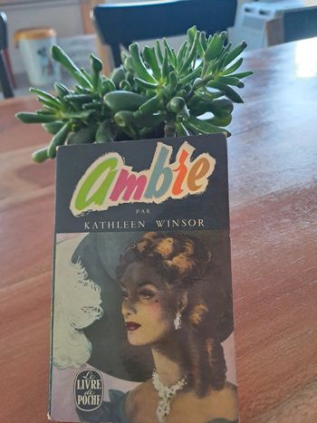 Livre Ambre, Kathleen Winsor