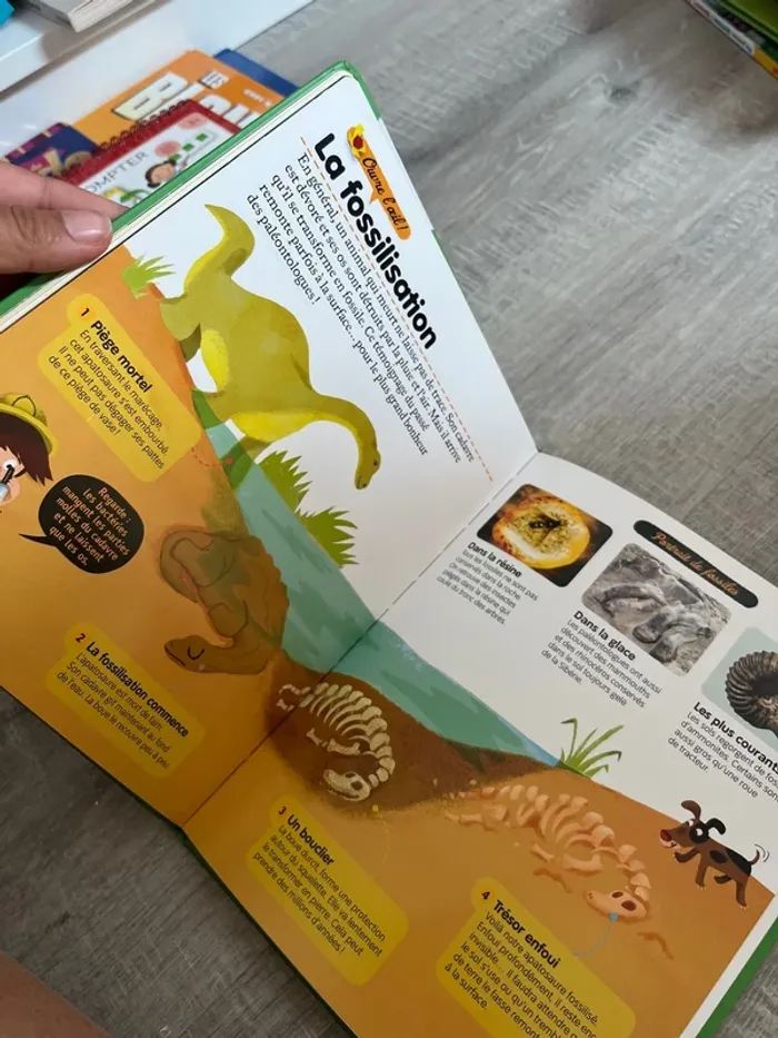 Livre sur les dinosaures - photo numéro 2