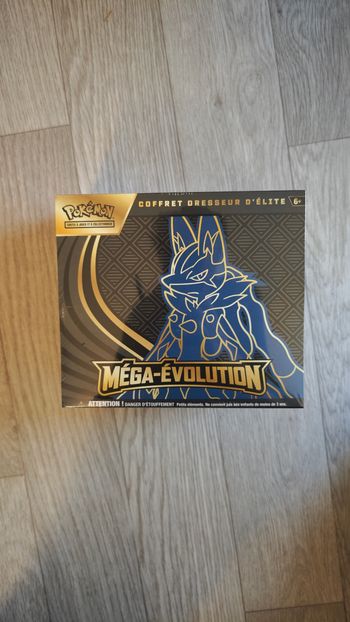Etb méga évolution lucario