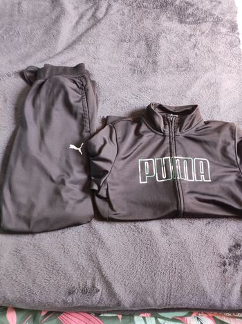 Ensemble puma
