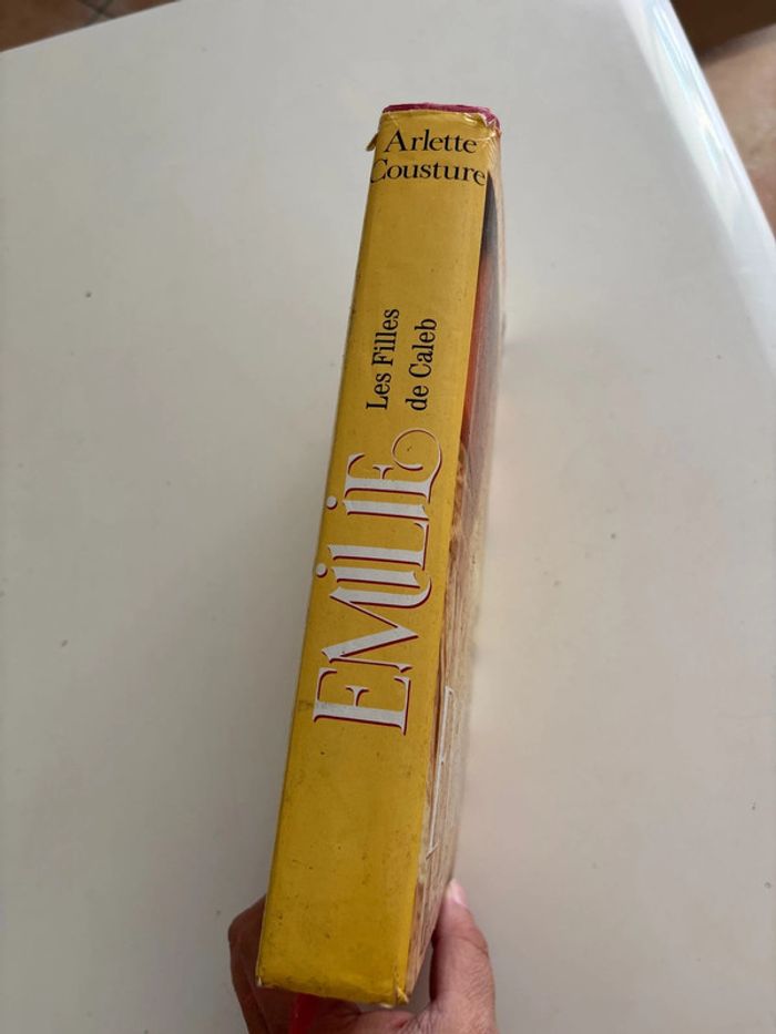 Livre Émilie les filles de Caleb - photo numéro 2