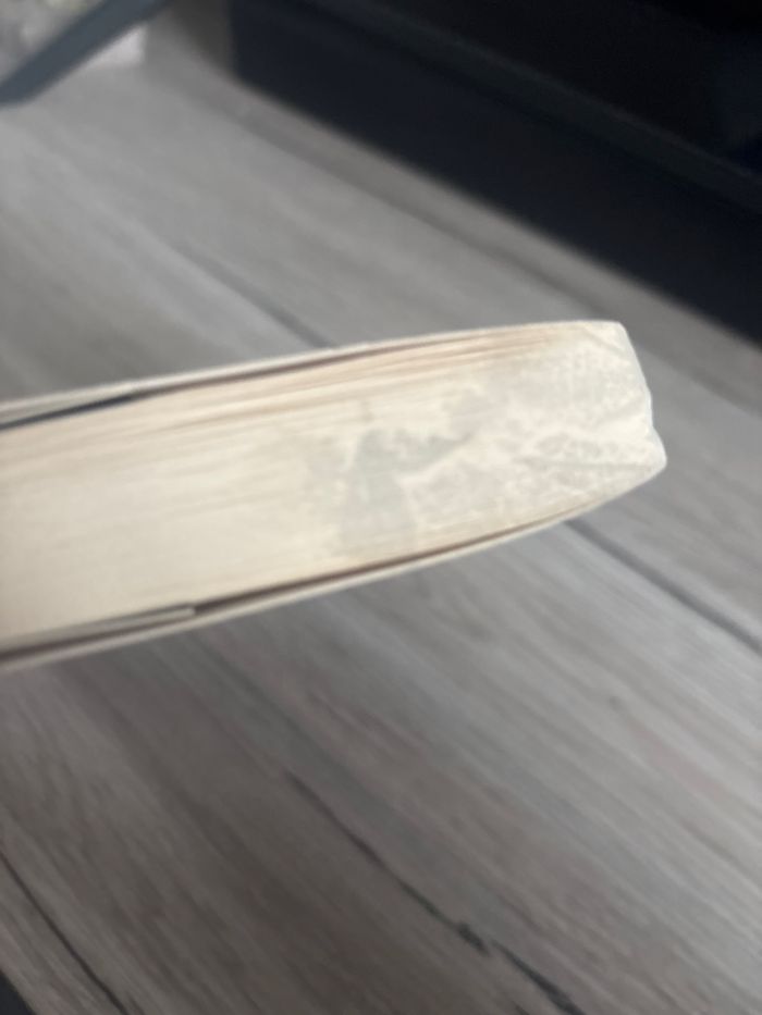 L’histoire de la Bête - Serena Valentino - photo numéro 3