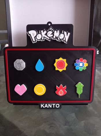 Tableau badge pokemon 