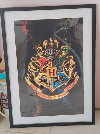 Cadre Harry Potter