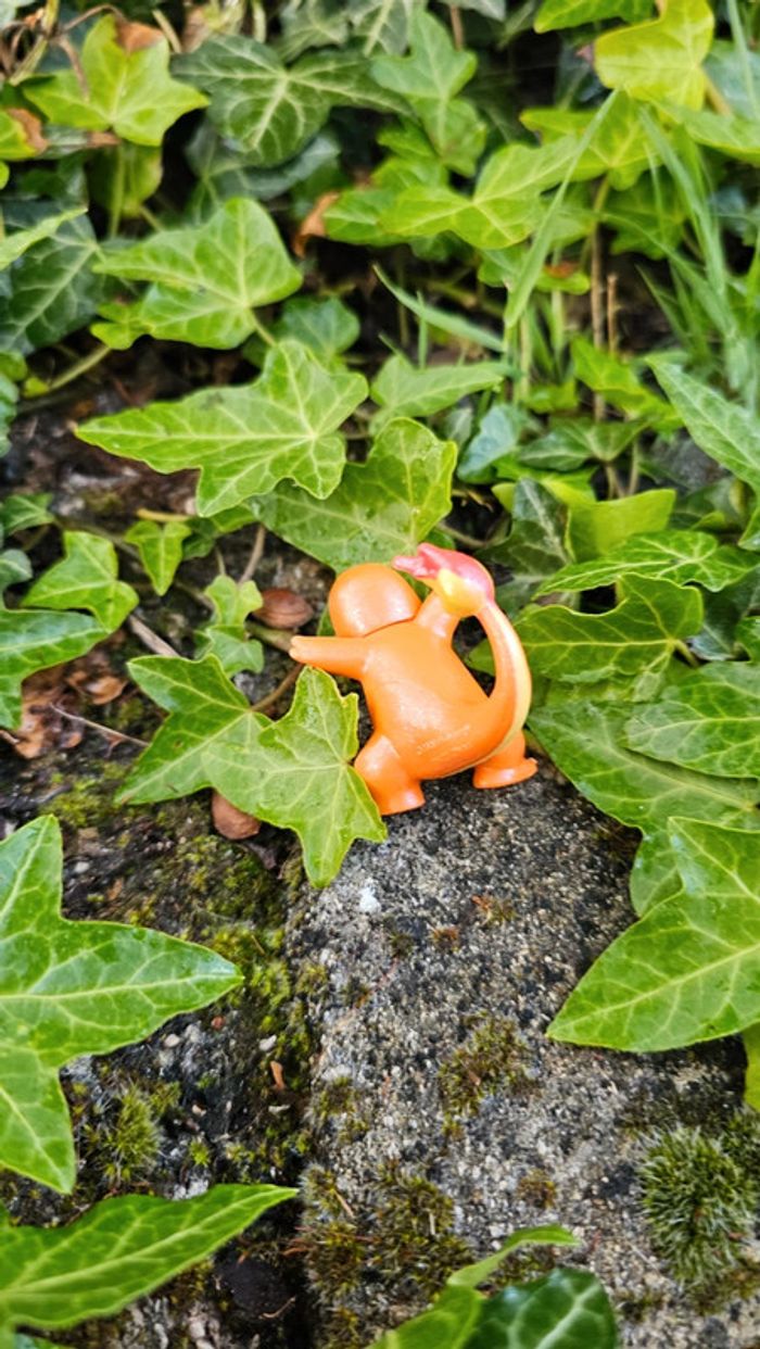 Super figurine Pokemon Nintendo Salameche effet brillant - photo numéro 4