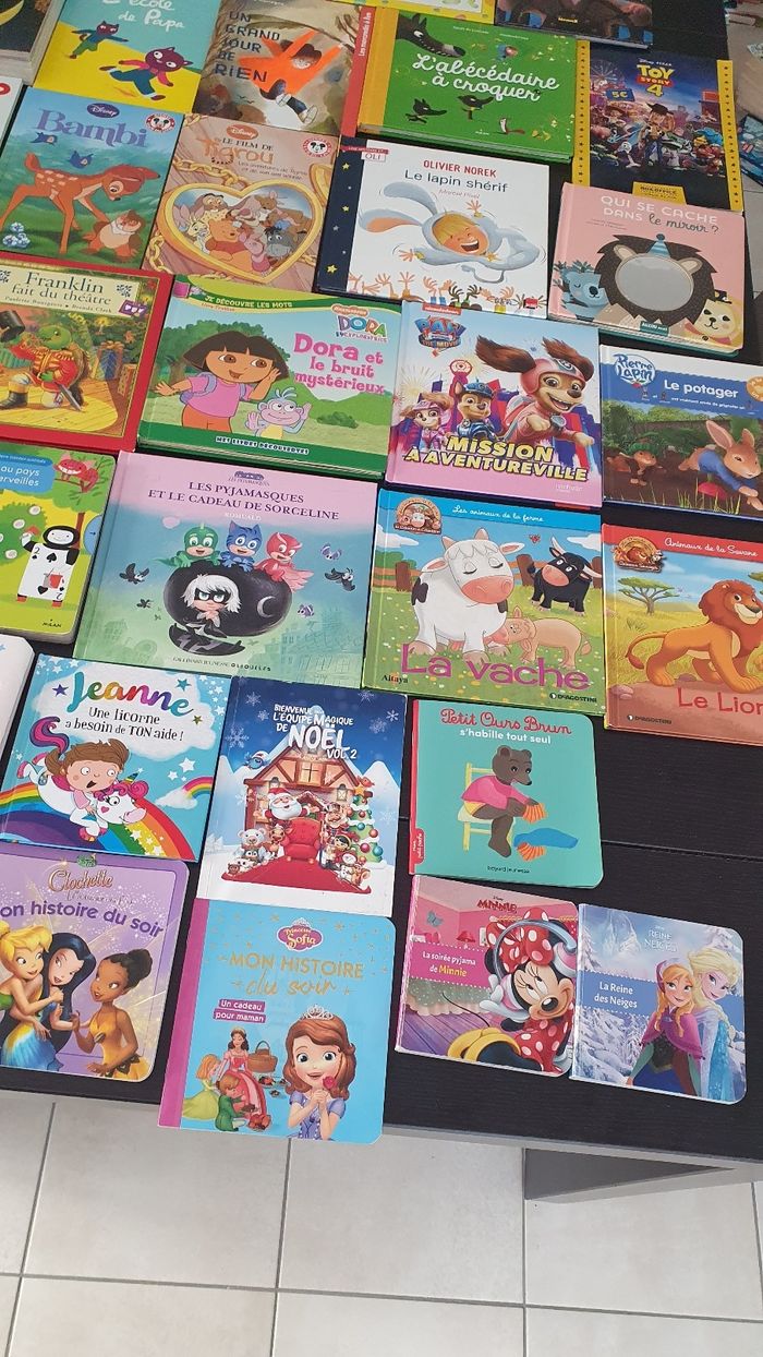 Divers livres pour les petits - photo numéro 3