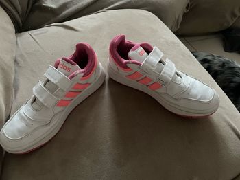 Chaussure adidas